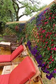 Outdoor Wallpaper Vertical Garden
