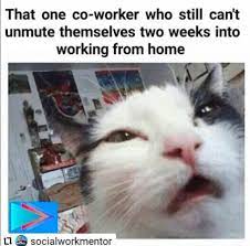 Through the magic of zoom meetings, you can keep the dream alive by changing your background to whatever you want. Here Are Some Zoom Memes To Laugh At While Your Mic Is Muted 30 Memes In 2020 Funny Cat Memes Funny Text Memes Cat Memes