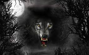 black wolf wallpapers wallpaper cave