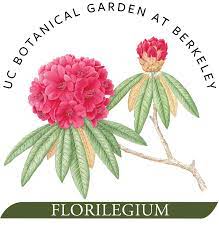 florilegium uc botanical garden