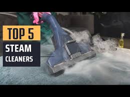 best steam cleaners 2024 top 5