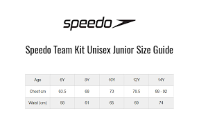 Speedo Team Kit Junior Small Logo T Shirt Navy