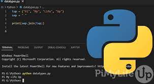 how to run a python script pi my life up