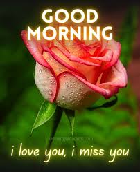 best good morning i love you i miss you