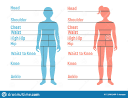 Boy And Girl Size Chart Human Front Side Silhouette