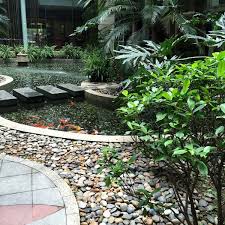 garden or outdoor patio design