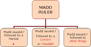 Madd Rules