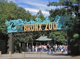 Bronx Zoo Wikipedia