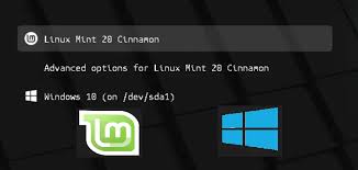 dual boot linux mint 20 with windows 10