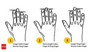 what does your finger length say about