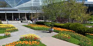 Toledo botanical garden is a botanical garden located in the city of toledo, ohio. Free Access Program Division Of Student Affairs Case Western Reserve University