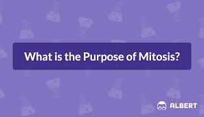 what is the purpose of mitosis