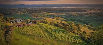 The Perfect Itinerary For Your Sydney To Hunter Valley Tour