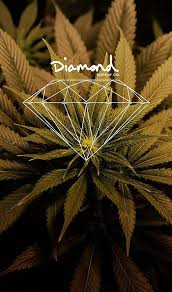 diamond supply co hd wallpapers pxfuel