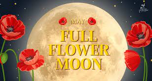 full moon may 2024 flower moon and