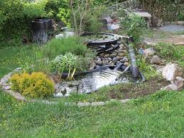 Sustainable Backyard Pond
