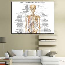 Us 6 05 50 Off Xdr610 Human Body Anatomical Chart Muscular System Fabric Poster Prints Oil Painting On Canvas For Hospital And Family 60x80cm In