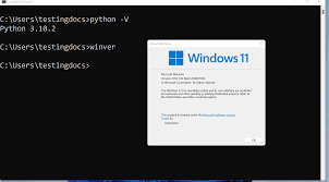 install python on windows 11
