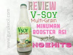 Maybe you would like to learn more about one of these? Review V Soy Multi Grain Minuman Booster Asi Yang Lagi Ngehits Gurukecil