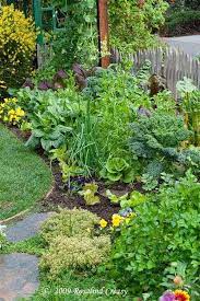 Edible Garden Design And Supply