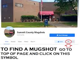 The search filters are various, including name, county of incarceration, status, or parole hearing date. Summit County Mugshots Home Facebook