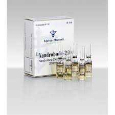 Buy injectable steroids credit card. Buy Injectable Steroids For Bulking Online With Credit Card