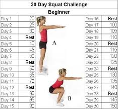 Fitness Challenge 30 Day Squat Challenge 30 Day Squat 30
