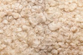 small scale wool mohair producers