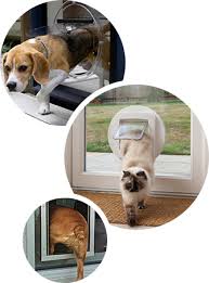 Dog Door Cat Door Pet Door Repairs