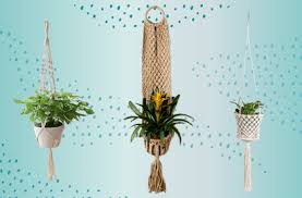 how to hang plants from the ceiling