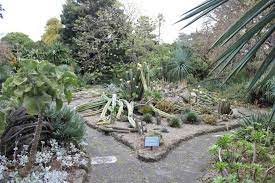 Royal Botanic Gardens Vandalised