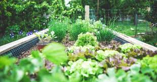 What Is Permaculture Gardening A