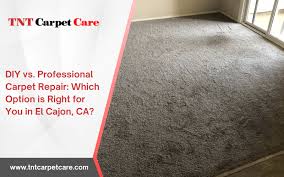 diy vs professional carpet repair