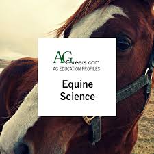 equine science education profile