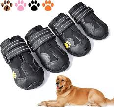 best dog boots find the right