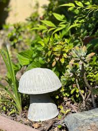 Concrete Mushroom 7x6 5 Mushroom Garden