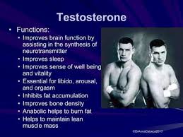 Low Testosterone Estrogen What Men Need To Know Dr