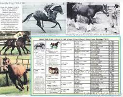Details About Race Horse Hoist The Flag Picture Pedigree Chart