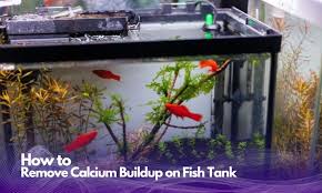 Remove Calcium Buildup On Fish Tank