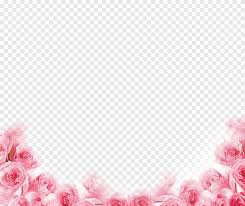 pink flowers graphic design frame pink