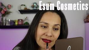 esum cosmetics review dual lip liners