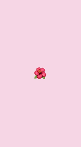 flower emoji pink cute hd phone