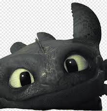 your dragon toothless