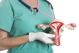 Endometrial Hyperplasia Risks Types And Treatments