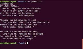 how to use the linux cat and tac commands