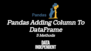 add column to dataframe pandas data