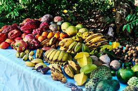 tropical fruit paradise