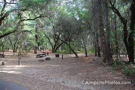 Maybe you would like to learn more about one of these? Henry Cowell Redwoods State Park Campsite Photos Camping Info