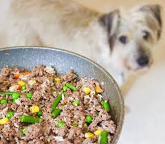 This salmon and potato recipe is rich in omega fatty acids to help support skin and coat health. Healthy Homemade Dog Food Low Carb Gluten Free Dog Food