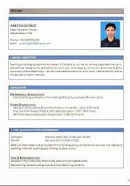 Ieee Resume Format resume template premium resume samples field Download  Software Engineer Resume Samples sample resume format